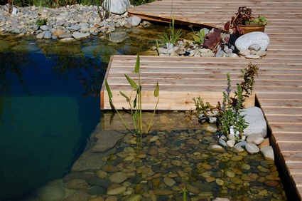 devis piscine naturelle