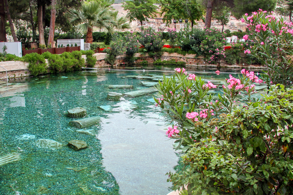 piscine-naturelle