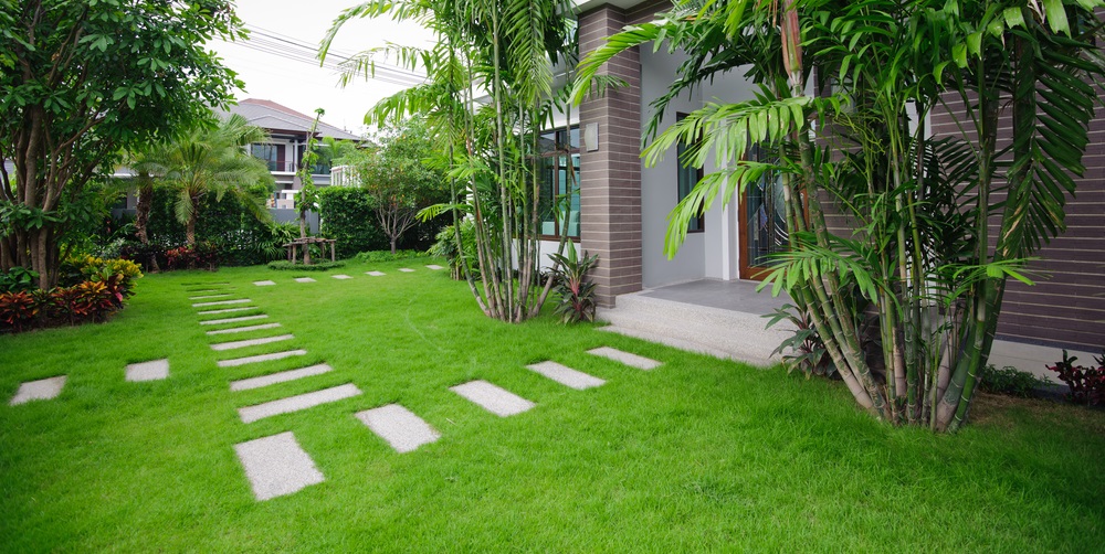 Jardin contemporain ambiance tropicale