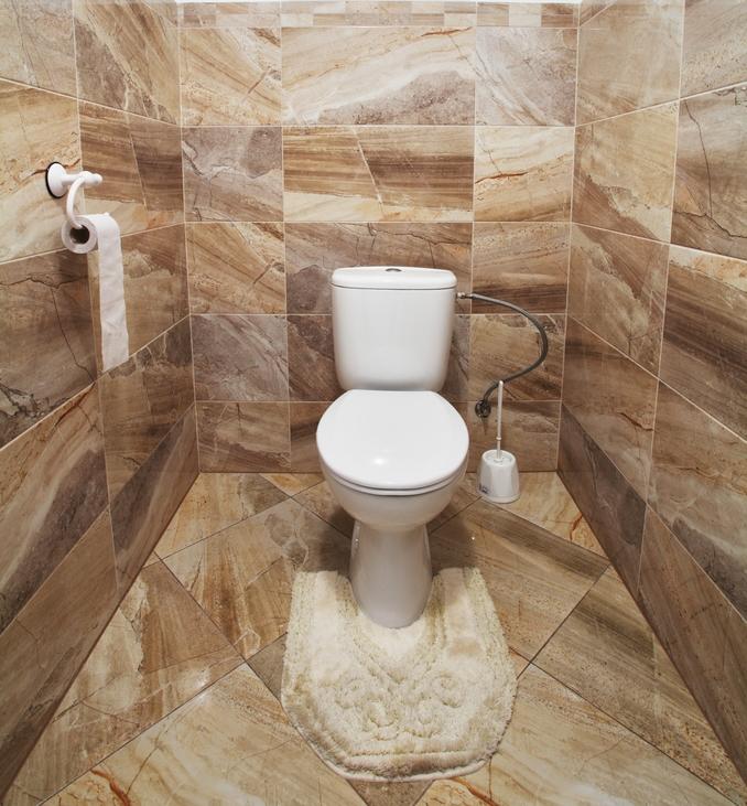 WC de luxe entièrement revêtu de carrelage marbre