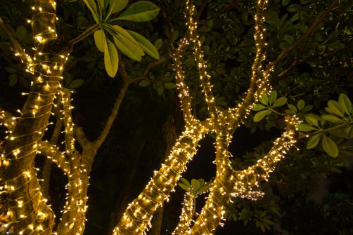 Guirlande lumineuse decorative jardin