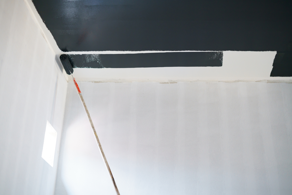 Peinture noire pour plafond