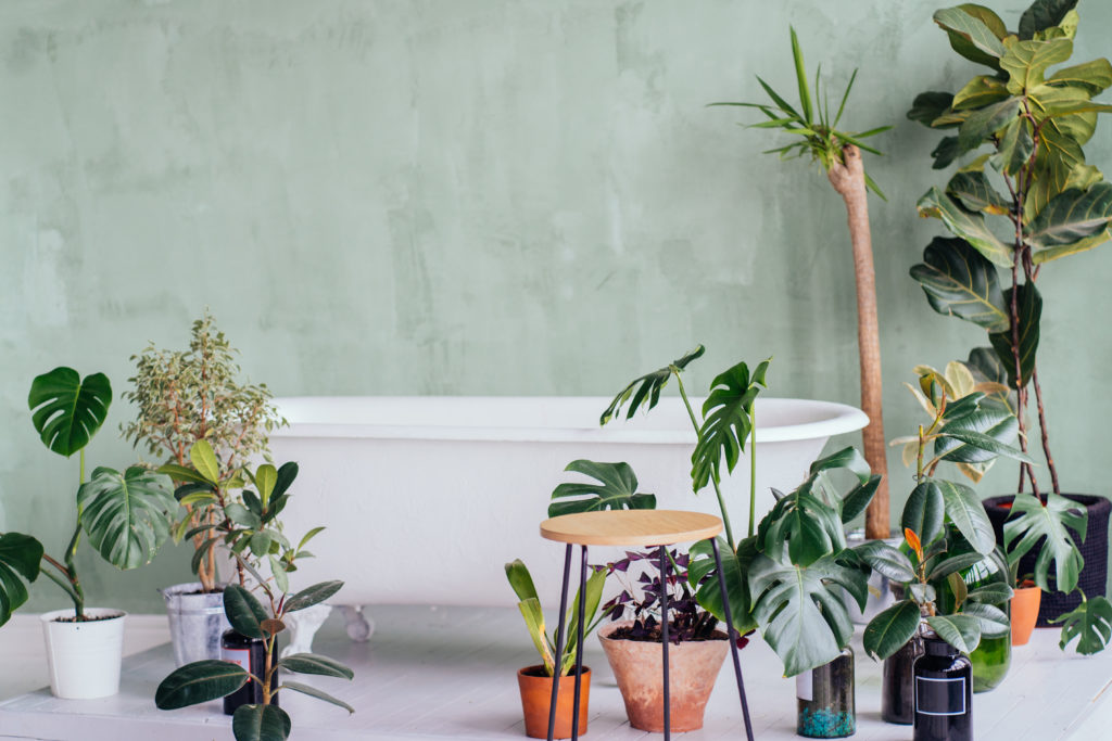 salle-de-bains-verte-plantes-baignoire