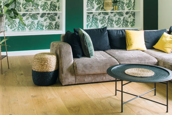 Laissez-vous séduire par un salon vert ! Nos idées - monEquerre.fr