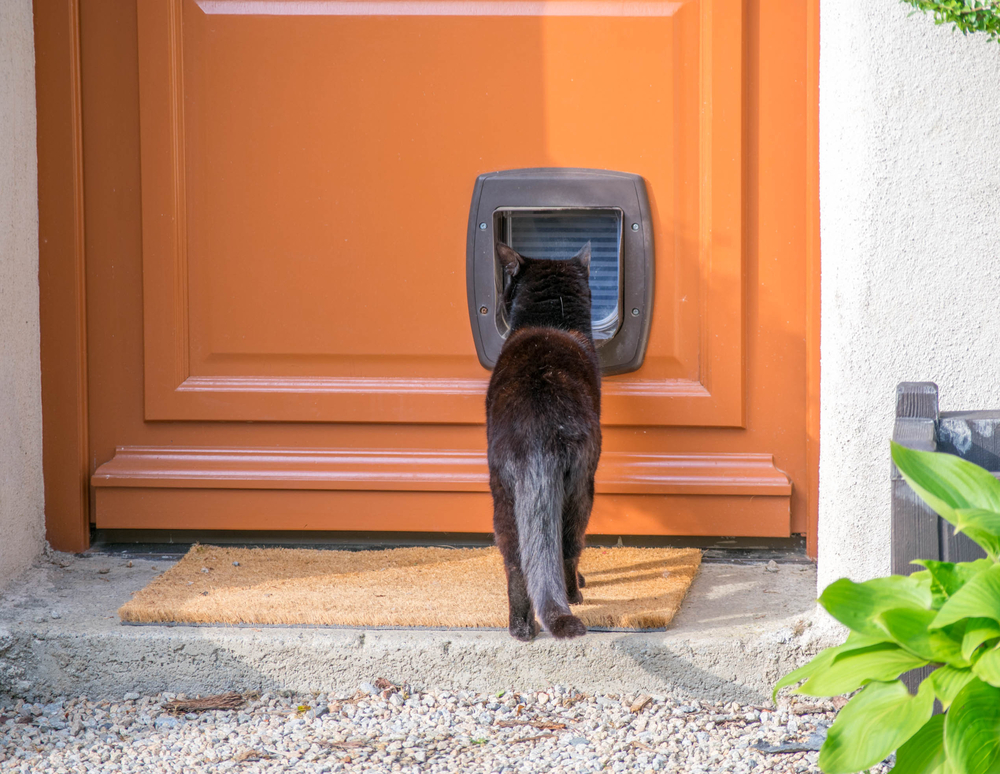 Comment Faire Pour Isoler Une Chatiere Installez La Chatiere Isolee Monequerre Fr