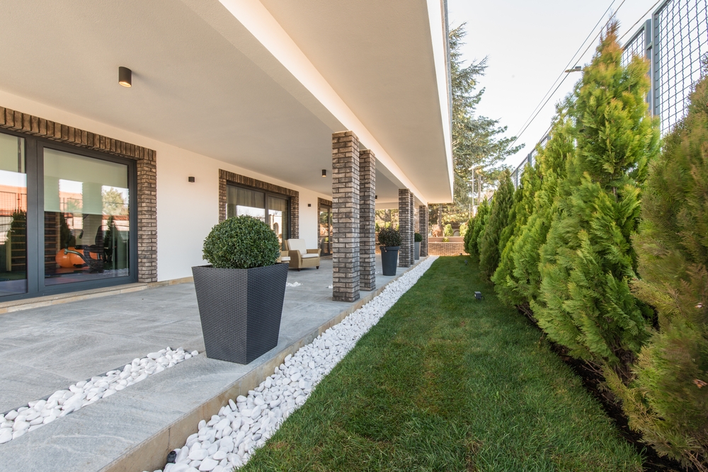 Carrelage gris avec allée jardin et sapins