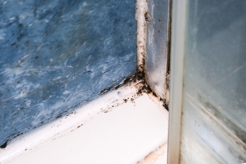 moisissure dans une salle de bain