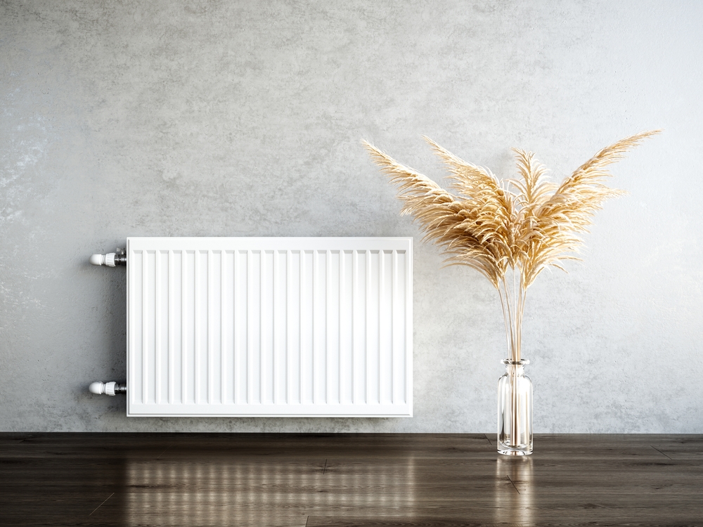 Radiateur blanc avec une plante