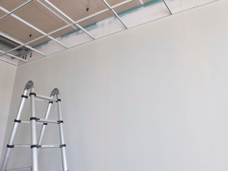 Ossature Plafond Autoportant Quel Matériel Pour Plafond Autoportant — free download